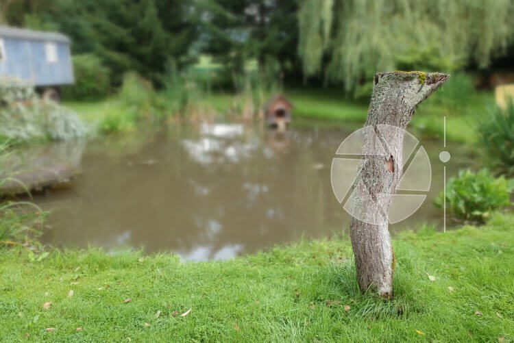 In der DJI GO App kann man später den Bokeh-Effekt einstellen. Man tippt auf das Objekt, das scharf sein soll und schiebt den Regler hoch oder runter, um die Stärke festzulegen.