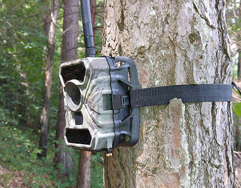 The icuserver wildlife camera with 3G transmission and integrated SIM card is not cheap, but from my point of view it is the best solution for monitoring horse paddocks, holiday homes or the like where there is no power grid and no WiFi available (Photo: Amazon).
