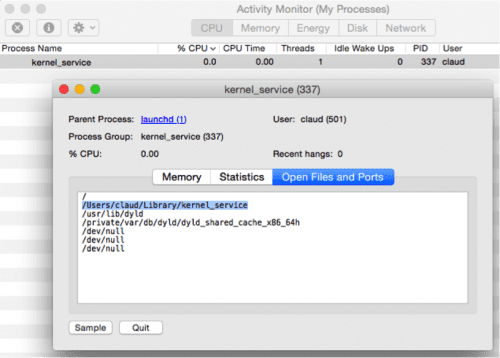 Im Screenshot sieht man den Hauptprozess "kernel_service" des Trojaners KeyRanger.
