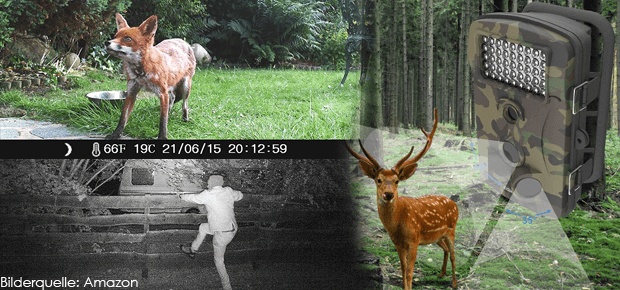 Telecamera di sorveglianza per trappole fotografiche per animali selvatici - Una telecamera per animali selvatici con funzione di visione notturna è adatta per l'osservazione della fauna selvatica, ma anche per la sicurezza di edifici e proprietà. Grazie al sensore di movimento, una telecamera per la fauna selvatica scatta foto e video in modo affidabile non appena animali o persone si muovono nel campo visivo - ideale come telecamera di sorveglianza!