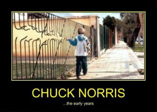Chuck Norris Witze Sprüche, Memes und vieles mehr