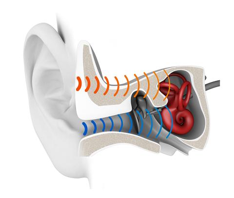 Erklärung der Knochenschall-Übertragung: Normalerweise gehen Schallwellen den blauen Weg. Die Knochenschall-Kopfhörer wählen den Weg über Haut und Knochen – hier rot eingezeichnet (Grafik: AfterShokz).