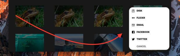 Die Export-Funktion in Photolemur erlaubt nicht nur das Sichern auf der Festplatte sondern auch das Versenden per Mail oder das Sharen auf Social Media Plattformen.