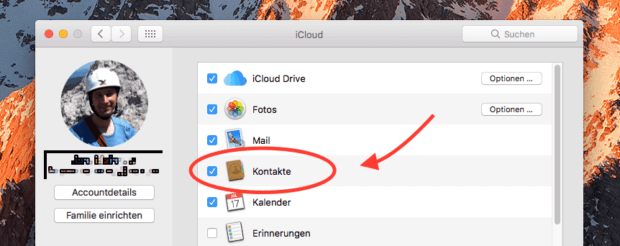 On the MAC, you can disable or activate the synchronization of contacts between iCloud and the local database on the Mac under macOS. To do this, go to System Settings -> iCloud and find the "Contacts" entry there.