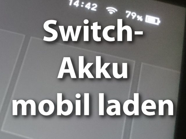 Nintendo Switch Akkuhülle oder Powerbank.