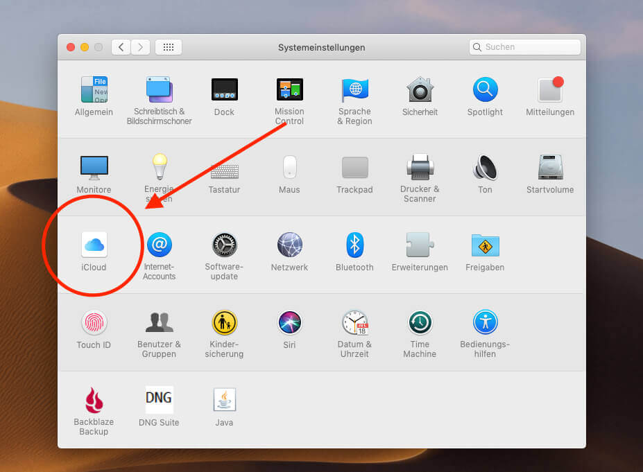 Das VoiceOver Problem mit Mojave löst man durch eine Ab- und Anmeldung in der Systemeinstellung iCloud.