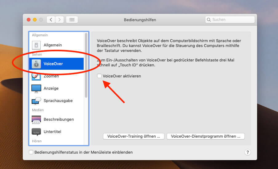 Normalerweise stellt man VoiceOver unter den Systemeinstellungen -> Bedienungshilfen aus. Bei Carsten war es abgeschaltet, aber die Dame sprach dennoch munter weiter.