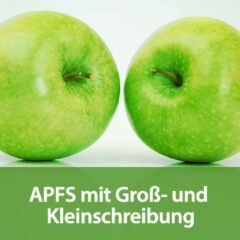 APFS mit Groß- und Kleinschreibung