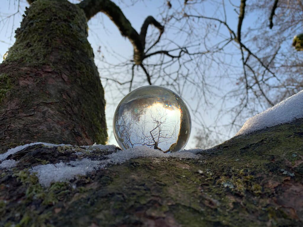 Das war nur ein schneller Test, aber es sieht auch irgendwie interessant aus: Lensball auf einem Baum.