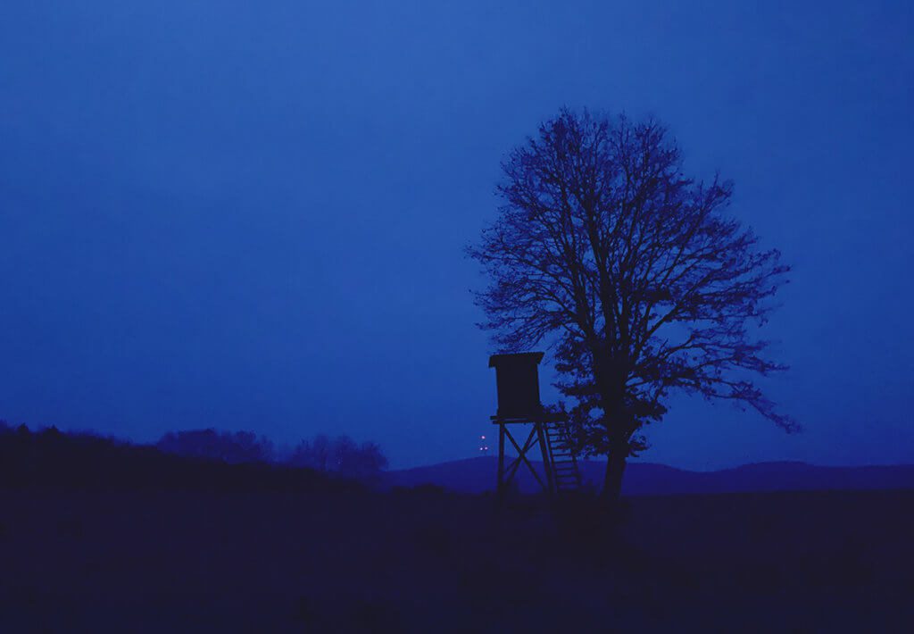Ho scattato questa foto mentre guidavo un monociclo quando fuori stava appena facendo buio. Sono sorpreso di essere stato in grado di scattare a mano libera e di essere ancora in grado di vedere dettagli come i rami dell'albero. In seguito ho rafforzato l'azzurro. I piccoli punti arancioni sono l'illuminazione della torre radio "Hohes Lohr" vicino a Battenhausen (Foto: Sir Apfelot)-