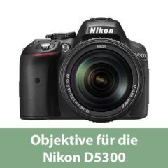 Obiettivi per la Nikon D5300 DSLR