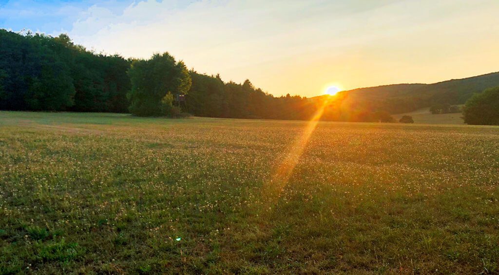 Anche Smart HDR ha fatto un buon lavoro su questo tramonto. Sono stato anche in grado di ripristinare un po' di azzurro in alto a sinistra che effettivamente c'era. Le nuvole sembrano essere state acquistate, ma sono le nuvole originali. Anche il prato e gli alberi sono stati leggermente aumentati con la saturazione del colore (Foto: Sir Apfelot).