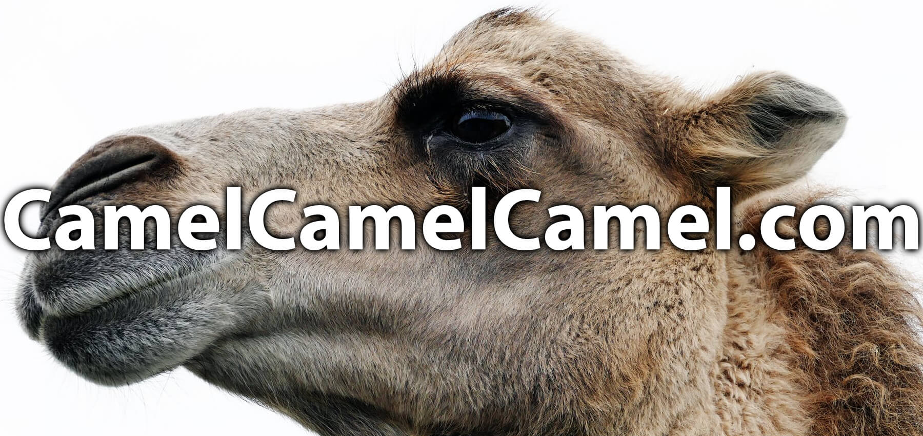 camelcamelcamel ios