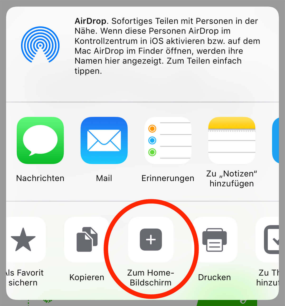 iphone url als app