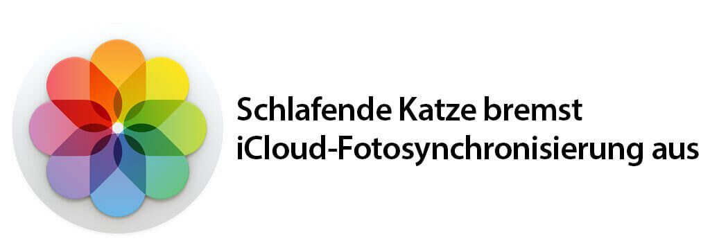 Endlich mal eine Überschrift, die nach meinem Geschmack ist. Das "Cat-Gate" ist geboren… :D