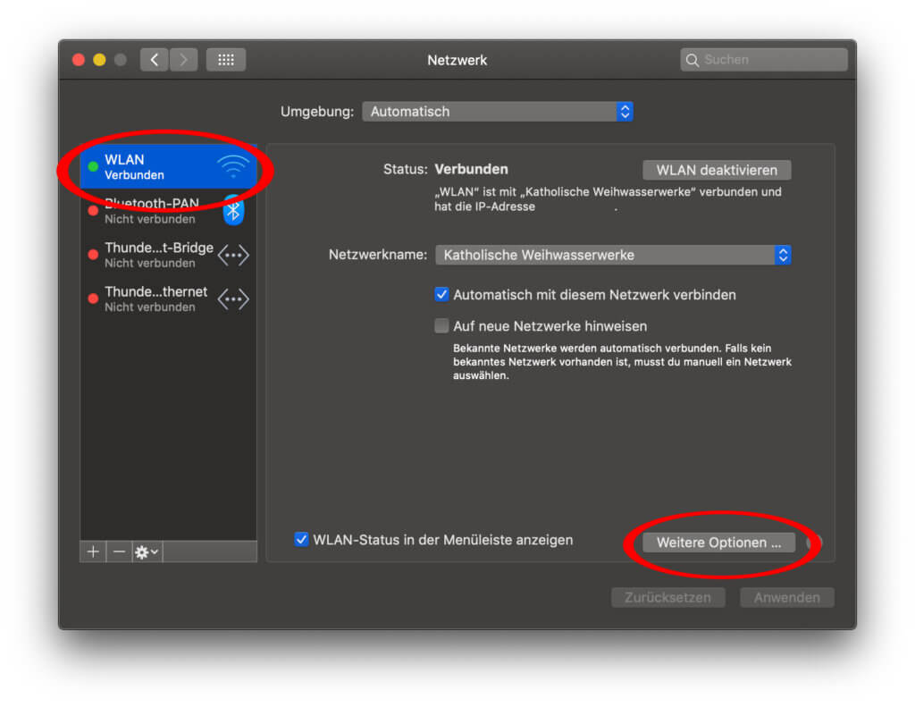 Die weiteren Optionen im Bereich der WiFi-Einstellungen helfen euch weiter.