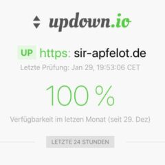 updown website monitoring tool