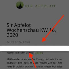 Wordpress, Borlabs Cookie und der weiße Balken