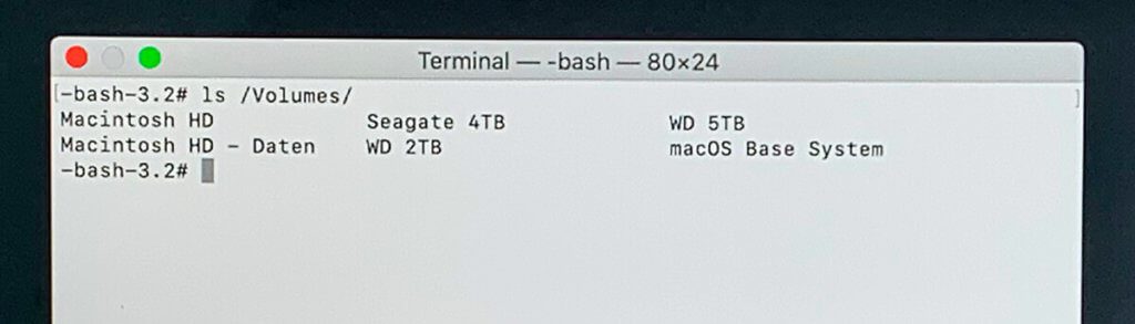 In addition to the Macintosh HD and Macintosh HD data, I also displayed the other external hard drives.