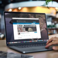 WordPress Plugin Public Post Plugin for public preview