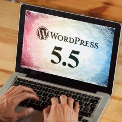 Problemas con WordPress 5.5