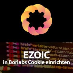 EZOIC in Borlabs Cookie einrichten