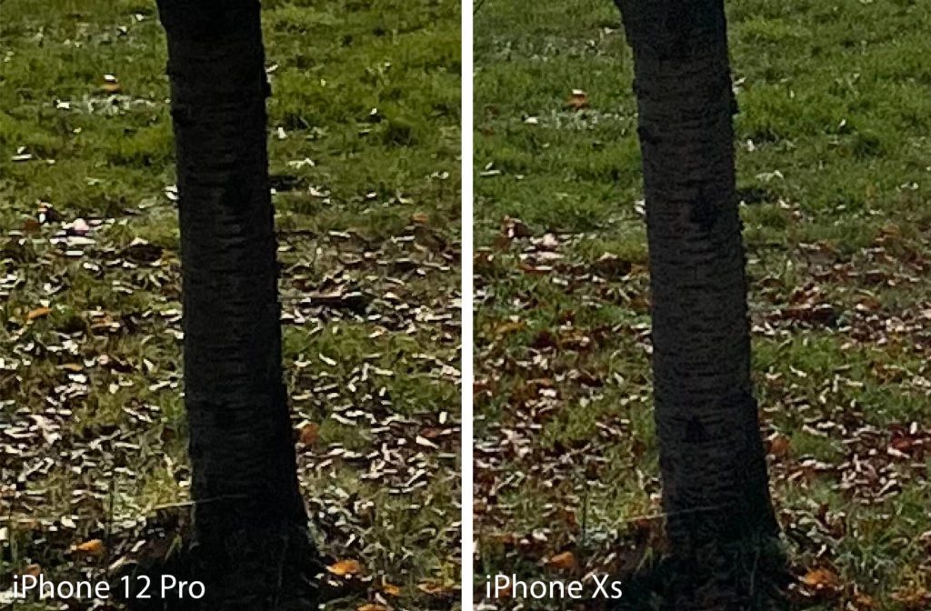 Im direkten Vergleich des Bildbereiches sieht man, dass beim der Aufnahme des iPhone Xs mehr Strukturen am Baumstamm zu erkennen sind.