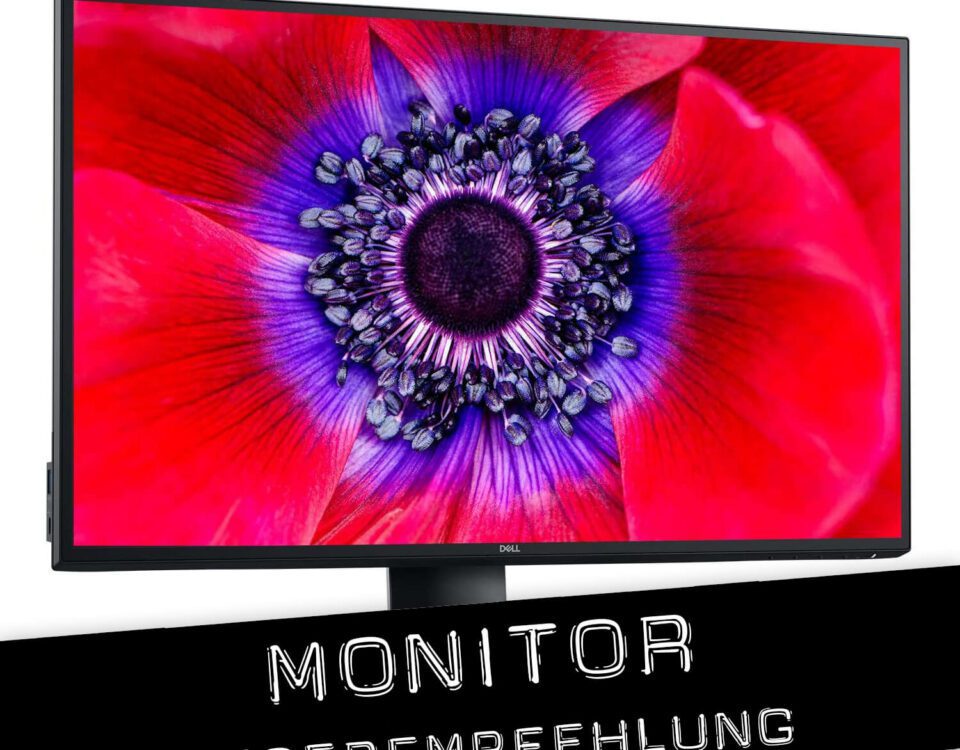 Empfehlung: Der Dell U2520D USB-C Monitor