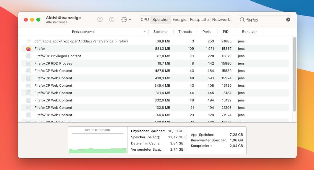 Über die Aktivitätsanzeige kann man die Prozesse filtern, die zum Beispiel zu Firefox gehören. So findet man heraus, wie viel Arbeitsspeicher der Browser insgesamt benötigt.