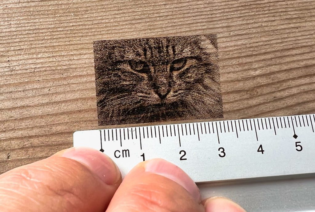 Das Foto aus Pixabay wurde in einer beeindruckenden Auflösung auf mein altes Stück Bauhholz gebrannt. Da hat man einen Eindruck, was mit dem Aufero Laser 1 möglich ist (Fotos: Sir Apfelot).