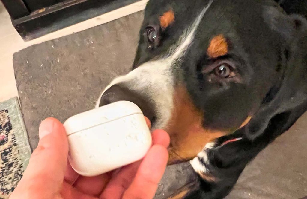 Kollege Henry hat natürlich keine Ahnung, wie diese Bissspuren in das Ladecase der AirPods Pro gekommen sind.