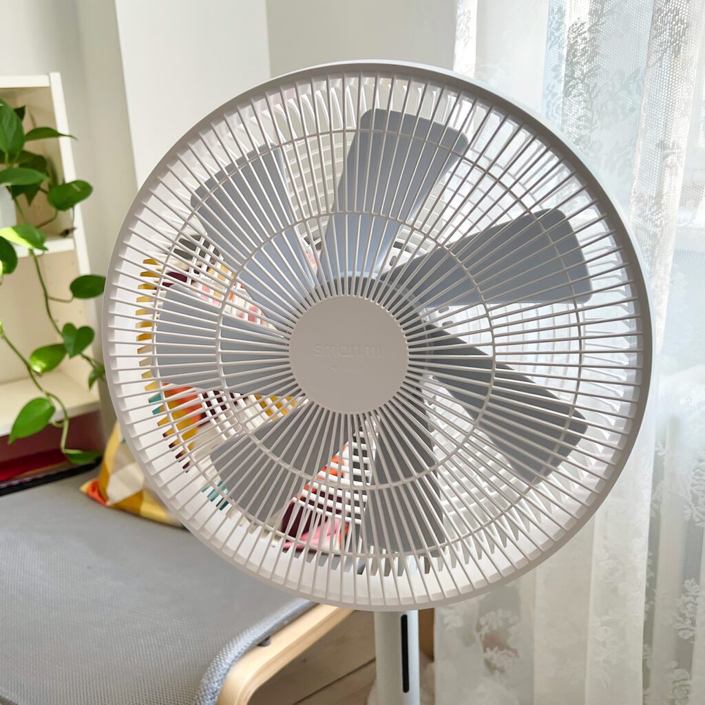 Smartmit Standing Fan 3 review