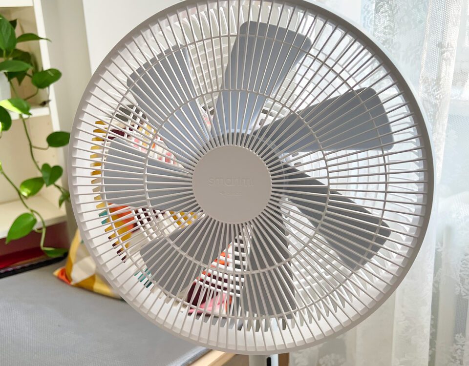 Smartmit Standing Fan 3 review