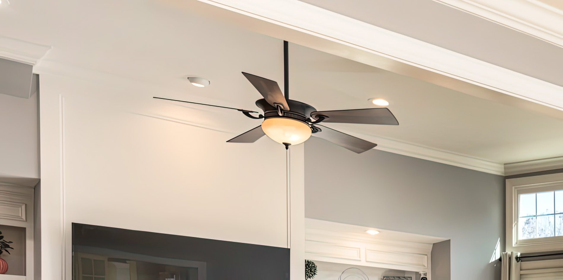 With many manufacturers, the light module is a replaceable element, which prevents the fan from becoming electronic waste if the light source fails.
