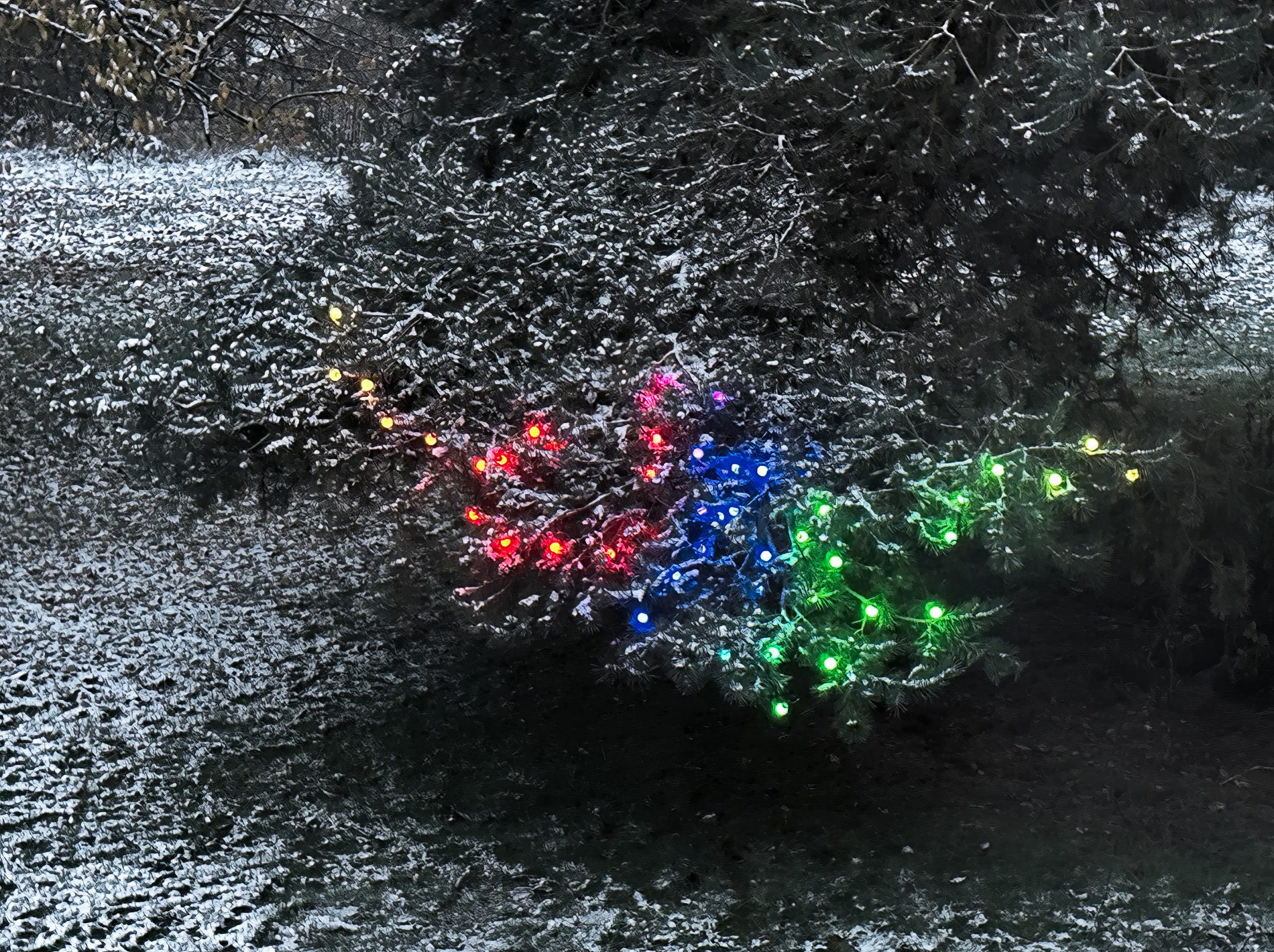 Man kann mit der LED-Lichterkette seinen Baum auch schön bunt machen, aber ich bin eher Freund der dezenten Farben – nicht im Foto enthalten.