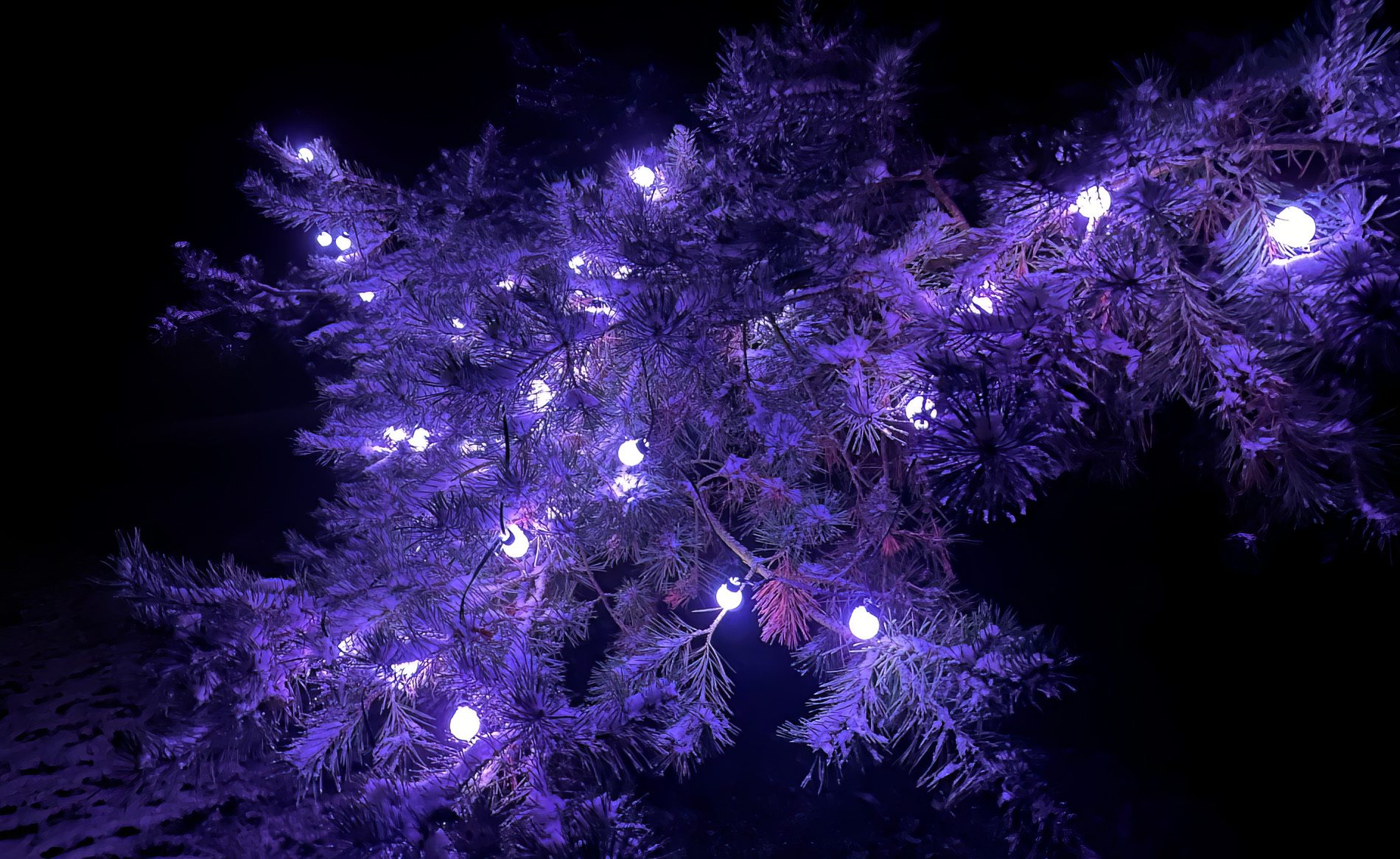 Auch einfarbig macht die LED-Lichterkette eine schöne Lichtdeko.