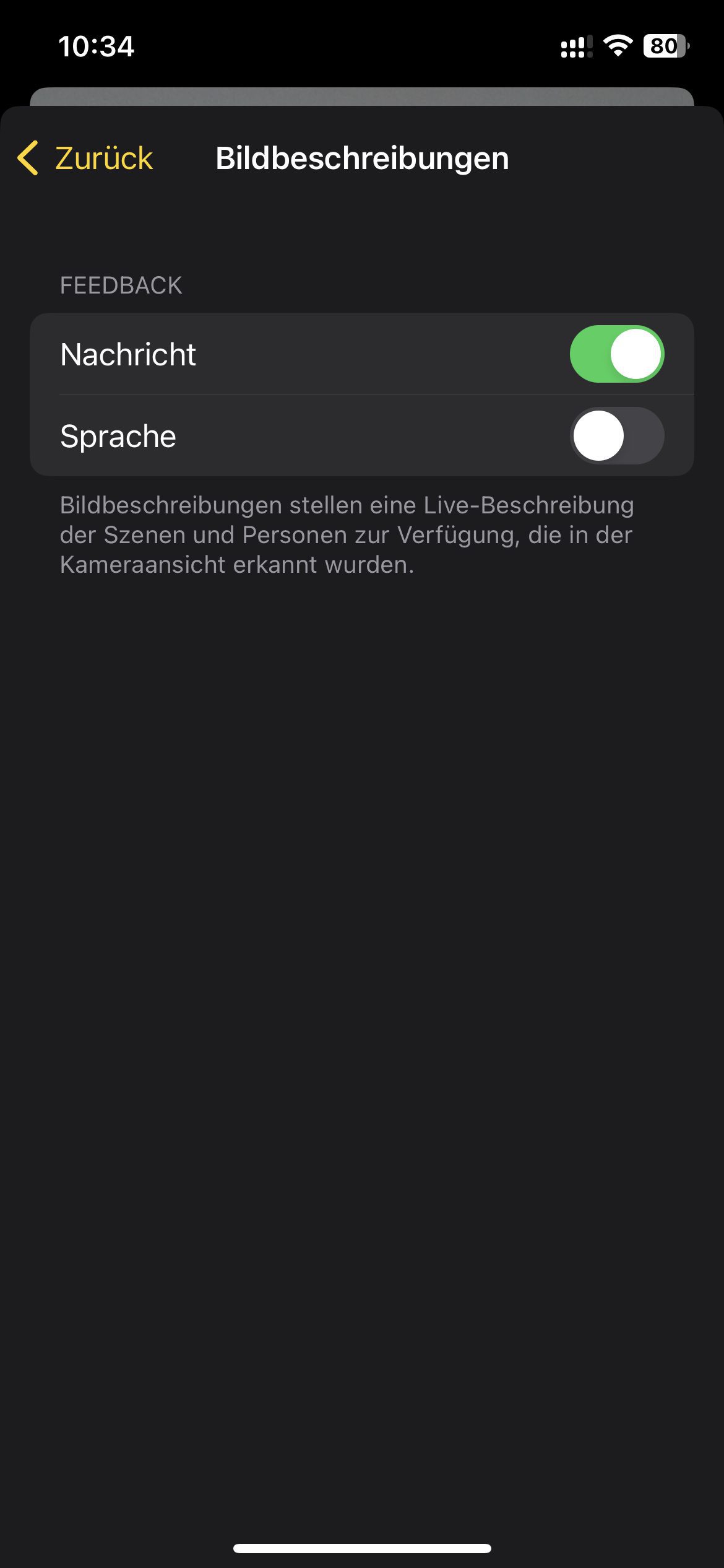 iPhone guide Magnifier app detection mode » Sir Apfelot
