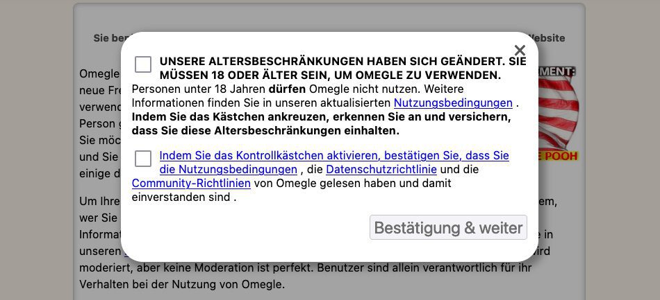 Hier sieht man die Bedingungen, die man akzeptieren muss, bevor man in den ersten Chat geschickt wird.