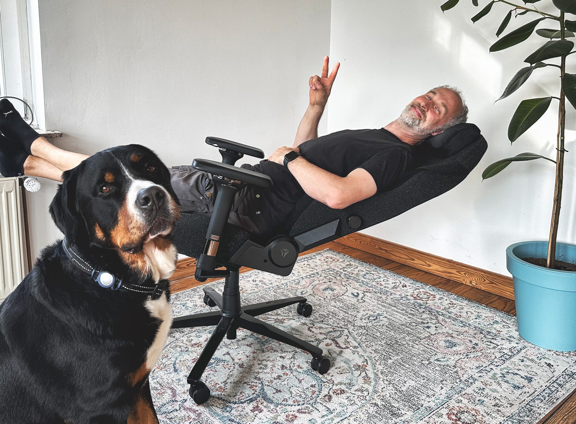 Unser Hund Henry wäre gerne mit in die Liegeposition gekommen, aber dann wäre es doch etwas eng auf dem Stuhl geworden. Aber zum chilligen Liegen ist diese Position perfekt.