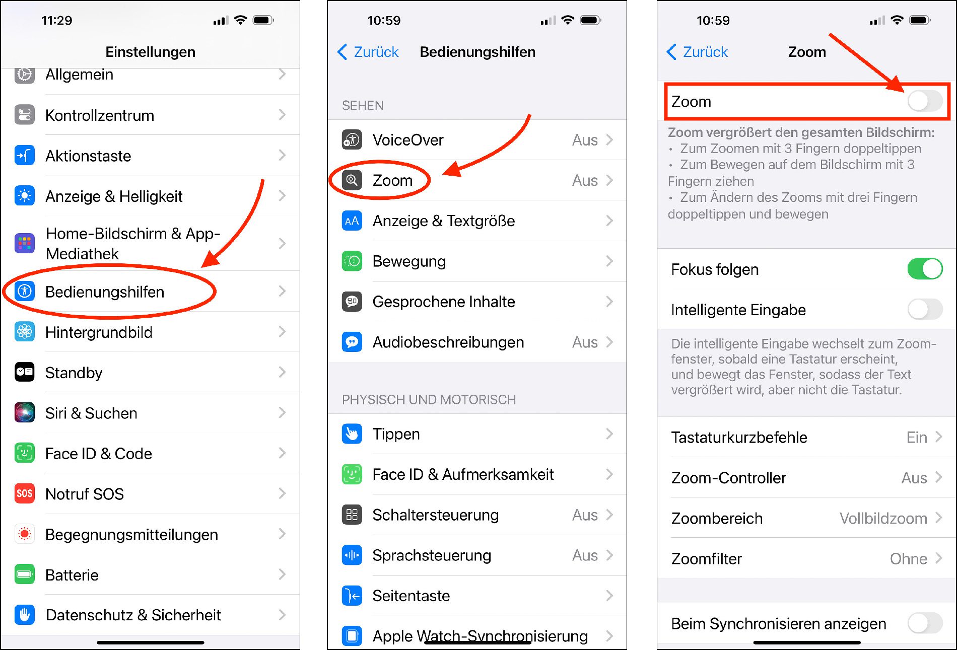 Hier ist der Weg zur Zoom-Funktion über die Einstellungen zu sehen.