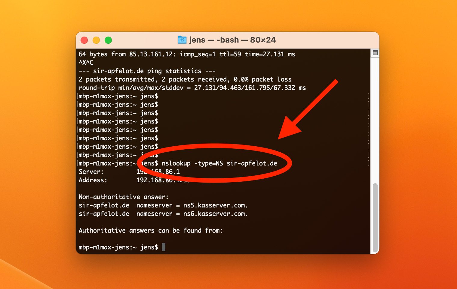 Hier der Screenshot meines Terminals, in welchem ich per nslookup die Einträge von meiner Webseite teste.