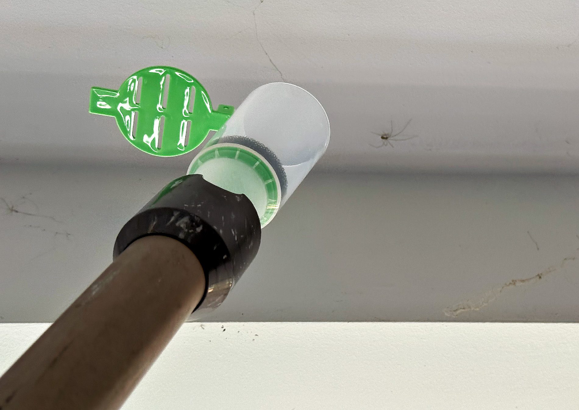 catch-i und Zitterspinne