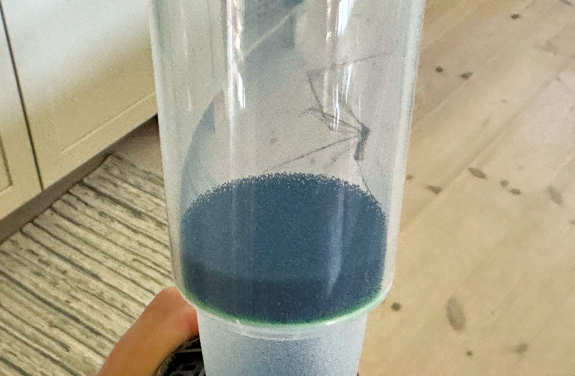 Spinne im catch-i gefangen