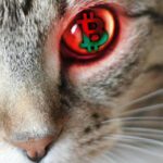 Krypto-Wallets als Ziel: Schadsoftware mit Texterkennung im App Store