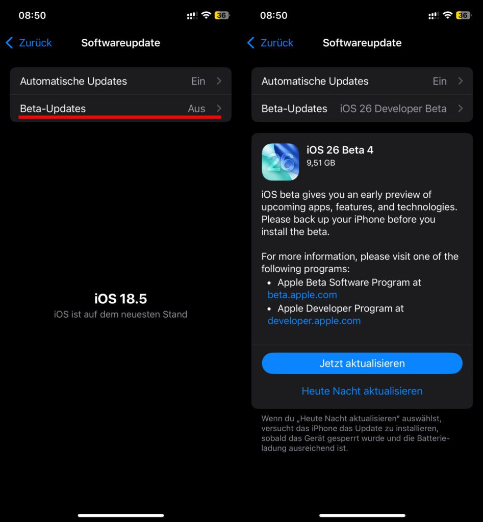In den iPhone-Einstellungen kann nach erfolgreicher Registrierung im Beta-Programm von Apple der Bezug der iOS-Vorabversionen aktiviert werden. Hier am Beispiel der Developer Beta gezeigt.