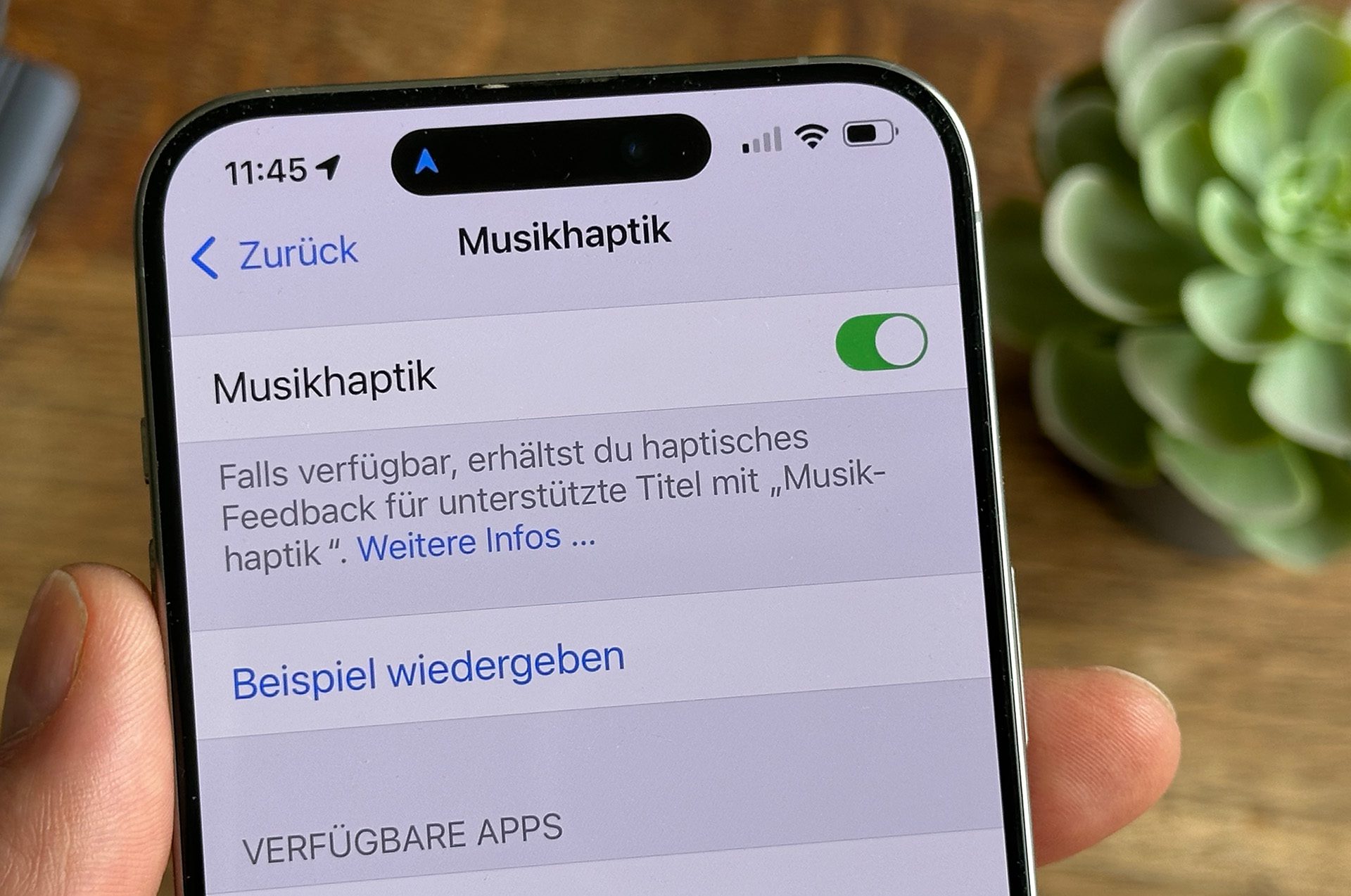 musikhaptik-einstellungen
