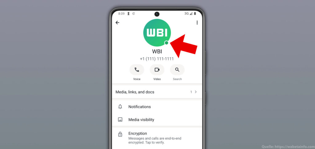 Was bedeutet der grüne Punkt bei WhatsApp? Und wie deaktiviert man den Online-Status? Hier gibt es alle Antworten!