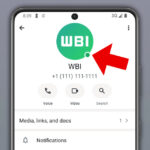 Neu bei WhatsApp: Was bedeutet der grüne Punkt? Wie deaktiviert man ihn?